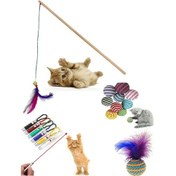 Resim Pet Style Kedi Olta Seti 4'lü 