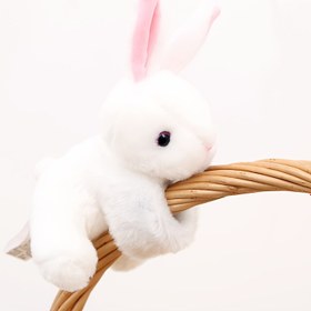 Resim 1 Adet Tavşan Peluş Bilek Oyuncağı, Sevimli Dolgu Hayvan Yumuşak Karakter Halka, Esnek Çizgi Film Bebeği Çocuk Doğum Günü, İngiltere'deki Cadılar Bayramı Şenlikleri ve Parti İçin Harika Tatil İlaveleri! 