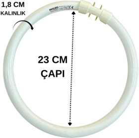 Resim Philips Master Tl5 22W 840 4000K (Günışığı) 2GX13 Duylu Simit Floresan 