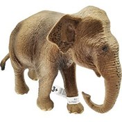 Resim Schleich Dişi Asya Fili 17001 