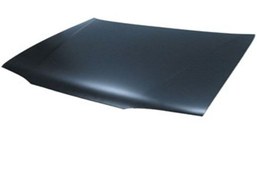 Resim Renault 19 Europa Motor Kaputu 