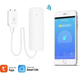 Resim Tuya Destekli Akıllı Su Kacak Sensörü 