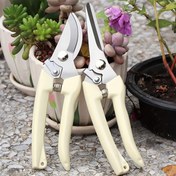 Resim Klasik Paslanmaz Çelik Bahçe Makası, Çok Fonksiyonlu Kaymaz ve İş Gücünden Tasarruflu Bahçe Makası, Çiçek Kesme, Bitki Budama, Bonsai ve Meyve Toplama için Uygun 