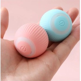 Resim Interaktif Kedi Köpek Şarjlı Oyun Topu 