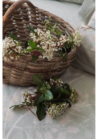 Resim Tek Kişilik Elysian Adaçayı Nevresim Takımı Adaçayı 