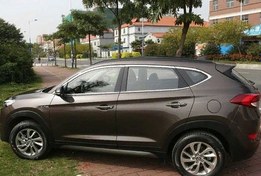 Resim Hyundai Tucson 2015-2020 Cam Çıtası Nikelaj 16 Parça 