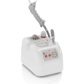 Resim Silter Goldental Buharlı Temizleme Robotu Gld Mn 2004 2 Litre 