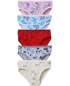 Resim Hepsine Rakip 5Li Kız Çocuk Desenli Slip Külot Ekonomik Sevimli Bikini 