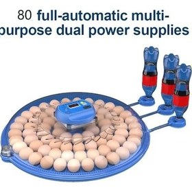Resim 80 Yumurta Kapasiteli Otomatik Çiftlik Kuluçka Makinesi : Yumurta, Bıldırcın, Civciv Ve Kanatlılar İçin 