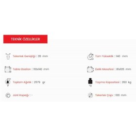 Resim Emes ED02 Vkv 100 Sabit Teker Ağır Tip 