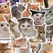 Resim 50 Adet Kedi Meme Sticker - PVC Çıkartma, Laptop ve Telefonlar İçin Uygun - Eğlenceli Kedi Temalı Dekoratif Sticker Paketi 