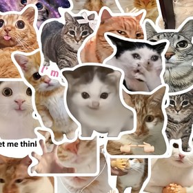 Resim 50 Adet Kedi Meme Sticker - PVC Çıkartma, Laptop ve Telefonlar İçin Uygun - Eğlenceli Kedi Temalı Dekoratif Sticker Paketi 
