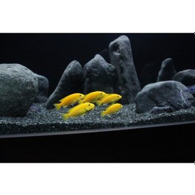 Resim Akvaryum Kumu Bazalt Bitki Kumu ( 1-2 ) MM 10 KG 