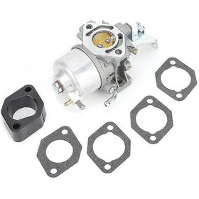 Resim Karbüratör Gm291 Gm301 Gb300 Gt1000 715668 715443 Karbüratör 