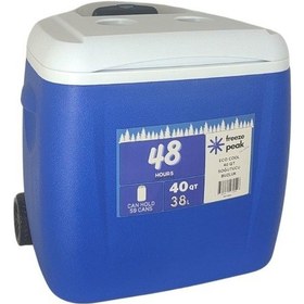 Resim Freeze Peak Eco Cool 40 Qt Soğutucu Buzluk 38 Litre 001 
