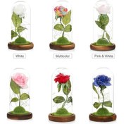 Resim Novahub Romantik Led Gül Işığı Dekoratif Aksesuar, Ahşap Tabanlı Hediye Fikri 