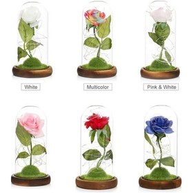 Resim Novahub Romantik Led Gül Işığı Dekoratif Aksesuar, Ahşap Tabanlı Hediye Fikri 