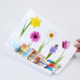 Resim Rovi Rapunzel Parlak Fotoğraf Kağıdı - 260gsm - 50yp - 13x18 