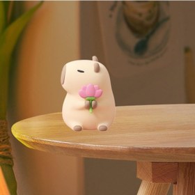 Resim Homyl Kapibara Gece Lambası Işık Süsleme Dekor Usb Lı Stil B Çok Renkli 