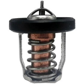 Resim Gösterildiği Gibi Deniz Df8a 9.9 - 30a Dıştan Takma Motorlar 17670 - 94j01, 17670 - 94j00, 17670 - 94j02 İçin Termostat 60 