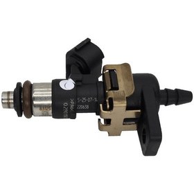 Resim Bajaj Dominar D 250 Enjektör 