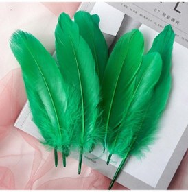 Resim Yeşil Doğal Kaz Tüyleri Tüyleri 15-20 Cm Renkli Kuğu Tüyü Tüy Ev Dekorasyon Zanaat Diy Parti Takı Dekorasyon İçin 200pcs 