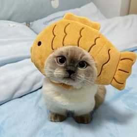 Resim Balık Tasarımlı Sevimli Kedi Şapkası - Yetişkin Kediler ve Küçük Köpekler için Kolay Giyilebilir Evcil Hayvan Kostümü, Tüm Mevsimlere Uygun Yumuşak Kumaş, Makinede Yıkanabilir, Cadılar Bayramı ve Günlük Kullanım için Mükemmel, Eğlenceli Evcil Hayvan Aksesuarı, Dayanıklı Evcil Hayvan Aksesuarı 