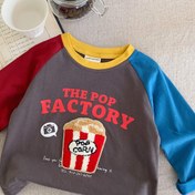 Resim Çocuklar için Panda Hennen Raglan Kollu Tişört - Eğlenceli Pop Fabrika Karikatür Grafikli, Renk Bloklı Kollar ve Etek, Yumuşak Örme Bol Kesim Uzun Kollu Üst Bahar/Sonbahar Günlük Giyim, Her Gün Çocuk Giysisi | Raglan Kol Tasarımı | Dayanıklı Örgü 