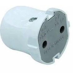 Resim Orel - Topraksız Dişi Fiş Mimoza Fiş 