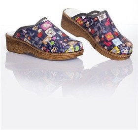 Resim Hayvanat Bahçesi Temalı Ortopedik Sabo Terlik Veteriner Hemşire Çok Renkli 