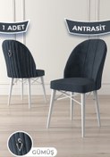 Resim Canisa Ritim Serisi 1 Adet Antrasit Sandalye 1.sınıf Babyface Ithal Kumaş Beyaz Gürgen Ayak Gümüş Halkalı 