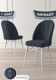 Resim Canisa Ritim Serisi 1 Adet Antrasit Sandalye 1.sınıf Babyface Ithal Kumaş Beyaz Gürgen Ayak Gümüş Halkalı 