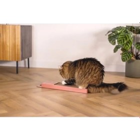 Resim Pembe 45 Cm Kedi Karton Tırmalama 