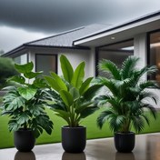 Resim 3 adet Büyük Yapraklı Yapay Bitki Seti - Taze Bana Yaprak ve Palm Bird of Paradise, Dış Mekan Kullanımı İçin Uygun - Bakım Gerektirmeyen Tropikal Yağmur Orman Dekoratif Bitkiler, Düzenli İç/Dış Mekan Saksı Ağaçları Düğünler, Oteller, Bahçeler, Avlular, Kuzey Tarzı Sahte Ağaçlar, Oktoberfest, Bastille Günü, Büyükanne Günü, Şükran Günü, Noel Süsleri, Zemin Yerleştirme, Modern Yeşillik Fotoğrafçılık Aksesuarları, Dekoratif Büyük Yapay Bitki, Büyük Palm Ev Dekoru İçin, Gerçekçi Büyük 