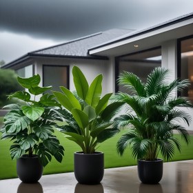 Resim 3 adet Büyük Yapraklı Yapay Bitki Seti - Taze Bana Yaprak ve Palm Bird of Paradise, Dış Mekan Kullanımı İçin Uygun - Bakım Gerektirmeyen Tropikal Yağmur Orman Dekoratif Bitkiler, Düzenli İç/Dış Mekan Saksı Ağaçları Düğünler, Oteller, Bahçeler, Avlular, Kuzey Tarzı Sahte Ağaçlar, Oktoberfest, Bastille Günü, Büyükanne Günü, Şükran Günü, Noel Süsleri, Zemin Yerleştirme, Modern Yeşillik Fotoğrafçılık Aksesuarları, Dekoratif Büyük Yapay Bitki, Büyük Palm Ev Dekoru İçin, Gerçekçi Büyük 