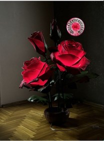 Resim Favorite Kırmızı Lambader 112cm 2,5kg 220volt Dekoratif Organik 