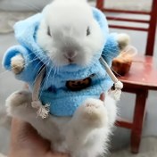 Resim Tavşan Kulaklı ve Balkabağı Tasarımlı Rahat Mavi Evcil Hayvan Kapüşonlu Üstü - Tavşanlar, Gelincikler ve Büyük Küçük Hayvanlar için Sıcak Kışlık Sweatshirt, Soğuk Hava Giyimi | Dekoratif Evcil Hayvan Kıyafetleri | Peluş Evcil Hayvan Kapüşonlu Üst 