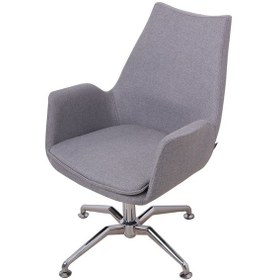 Resim Koltukstilim Spider Bekleme Şef Koltuğu Ofis Koltuğu Ofis Bekleme Koltuğu Gri 