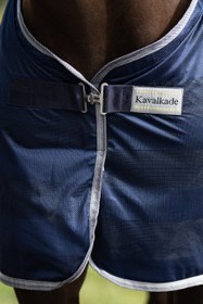 Resim Stripe At Sinekliği ve Böcek Koruma Örtüsü - Koyu Kırmızı / 145 