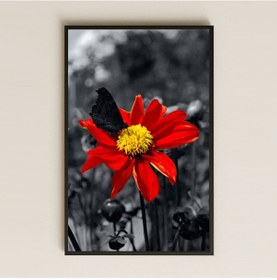 Resim Kırmızı Çiçek Ve Kelebek Temalı Şeffaf Pleksi Tablo 