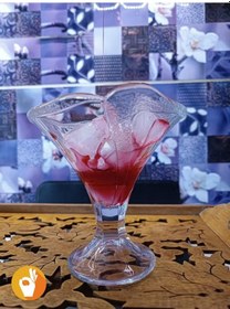 Resim Dondurma Kasesi 4'lü Manolya 