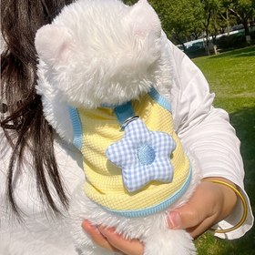Resim Yeni Bahar ve Yaz Koleksiyonu, Kedi ve Köpekler için Waffle Pet Yelekleri, Küçük ve Orta Boy Irklar için Uygun, Teddy ve Bichon gibi. 