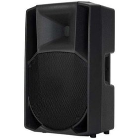 Resim LSound Professional Sound Systems 38 Cm 15 Inç Boş Plastik Hoparlör Kabini - Model R 