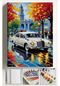 Resim Sayılarla Boyama Seti Çerçeveli Hobi Seti Tuval Fırça Boya Kasnaklı Set 40x50 Cm Bahçeli Merco 