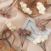Resim 12 Adet Yapay Diken Topu Buket, El Yapımı Plastik Dikenli Pampas, Gerçekçi Sahte Bitkiler, Renk Solmaz, Ev Dekorasyonu, Buluşma, Düğün, Doğum Günü, Yıldönümü, Bekarlığa Veda Partileri Dekorasyonları için DIY ile 