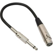 Resim Stereo Mikrofon Kablosu 3p Fişine 1/4 '' 6.35MM Dişi Mono Jack Fiş Kablosu 3m (Yurt Dışından) 