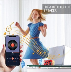 Resim Dw-Ct14 2X5W Bluetooth Amplifikatör Kartı 