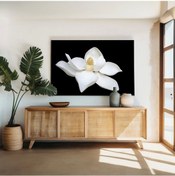 Resim Orkide Kanvas Tablo 