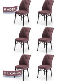 Resim Canisa Concept Flex Serisi 6 Adet Gülkurusu - Siyah Gürgen Ayaklı Sandalye Gül Kurusu 