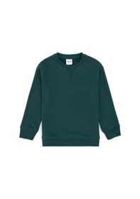Resim U.S. Polo Assn. Erkek Çocuk Koyu Yeşil Basic Bisiklet Yaka Sweatshirt 50295151-VR079 